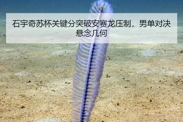 石宇奇苏杯关键分突破安赛龙压制，男单对决悬念几何