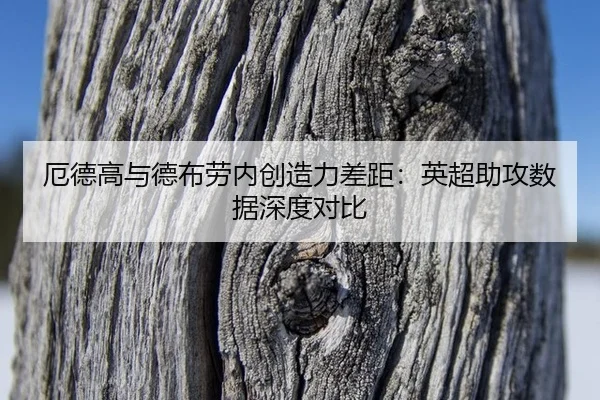 e-de-gao-yu-de-bu-lao-nei-chuang-zao-li-cha-ju-ying-chao-zhu-gong-shu-ju-shen-du-dui-bi-2-341.jpg