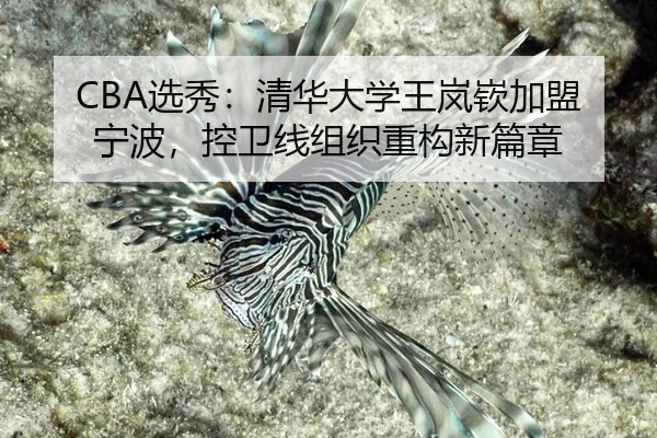 xuan-xiu-qing-hua-da-xue-wang-lan-qin-jia-meng-ning-bo-kong-wei-xian-zu-zhi-zhong-gou-xin-pian-zhang-3-595.jpg