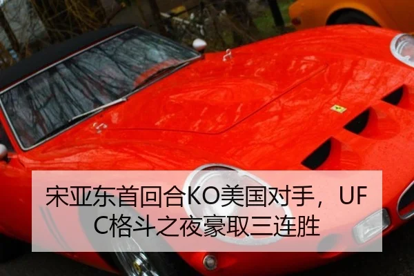 宋亚东首回合KO美国对手，UFC格斗之夜豪取三连胜